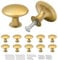 Misuyue 10pc Gold Drawer Knobs, Cupboard Handles Knob Round, Cabinet Knobs Made of Stainless, 30mm Small Door Knob for Wardrobes, Kitchen, Furniture