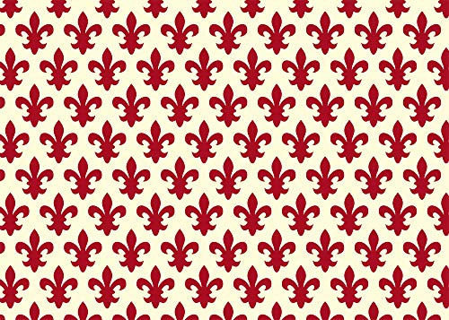 CARTA RESTAURO GIGLIATA ROSSO - formato 50x70 - confezione da 10 fogli