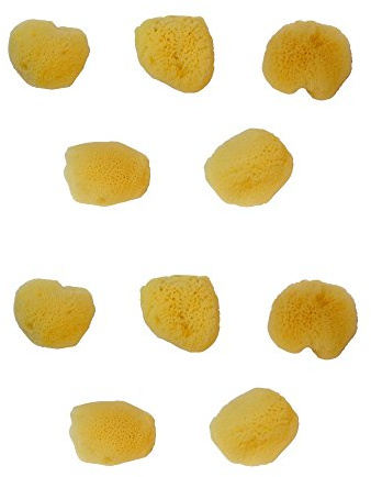 repino Malschwamm Naturschwamm, 10er Set Natur Aquarellschwämme - feinporig