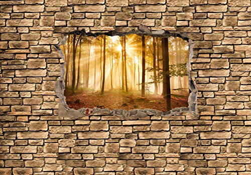wandmotiv24 Fototapete 3D Wald am Morgen - Steinmauer, XXL 400 x 280 cm - 8 Teile, Wanddeko, Wandbild, Wandtapete, 3D-Optik, Wandbruch, Landschaft M0661