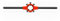 BAER Schneideisenhalter 38 x 10mm Pro, MF 12-15, G 1/4 - DIN 225 - Halter für Schneideisen - Gewindeschneideisenhalter - Gewindeschneiden Außengewinde - Gewindewerkzeug