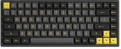 Akko Black&Gold 75% Hot-swappable Mechanical Gaming Keyboard with PBT Keycaps, 2.4G Wireless/Bluetooth/Wired 3084B Plus 84-Key RGB Keyboard, Compatible with Mac & Win Jelly Pink Switches