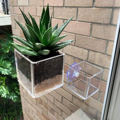 mefocou Fioriera da finestra con sottovaso, vaso da fiori da giardino con ventose adesive, vaso in acrilico trasparente con foro di drenaggio per esterni ed interni, per davanzale, patio, giardino,