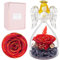 Rosa Stabilizzata, Regalo Donna Compleanno, Rosa Eterna Angelo, Regalo Mamma Compleanno, Regalo per Mamma Nonna per Compleanno Natale, Regali Festa Della Mamma San Valentino Anniversario