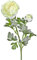 matches21 Ranunkel 1 Blüte & 1 Knospe Kunstblume künstliche Blume Kunststoff 1 STK - Ø 7x40 cm - cremefarben