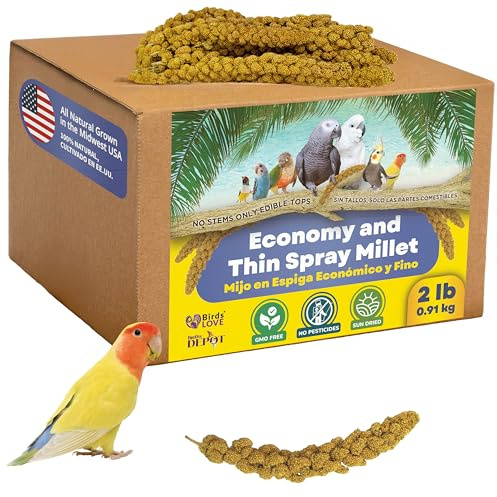 2lbs Economy & Special Spray Millet for Birds – GMO-Free, No Stems (Only Edible Tops) – 100% Natural Sun-Dried Foraging Treat for Cockatiels, Lovebirds, Parakeets, Finches & Canaries
