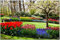 Wallario Outdoor-Poster für Garten oder Balkon Bunte Blumen und Kirsch-Baum im Park blühen im Frühling, Motivbanner Größe: ca. 80 x 120 cm, Outdoor-Bild