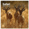 Bright Day Monatlicher Wandkalender 2024 Safari, 30,5 x 30,5 cm
