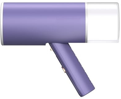 WANGHAI-666 Handheld Electric Iron Foldable Garment Steamer Powerful Professional Micro Steam Iron Brush Handle Garment Steamer for Home Travel Portable Iron