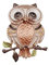 Brosche Magnetbrosche Schal Bekleidung Taschen Stiefel Uhu Eule Owl Gold - Braun