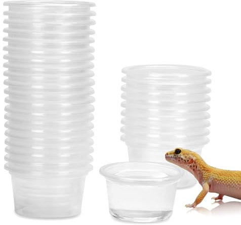 DERNORD Gecko Futternapf Reptilien Vivarium Plastikschüsseln Feeder Wasserschale 5X3CM Magnet Stark Chamäleon Crested Gecko Zubehör 30PCS