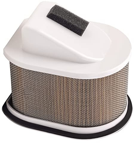 Road Passion Filtro Aria 11013-1302 5VX-14451-00 Compatibile con Kawasaki Z750 ZR750 2004-2012 Z750 R ZR750 2011-2012 Z750 S ZR750S 2005-2009 Z1000 ZR1000 2003-2009