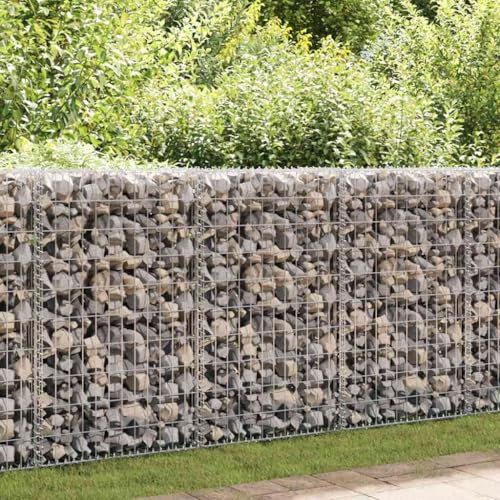 Myheimly Gabione,Steinkorb Steingabionen Drahtkorb Mauer Säule Wand, Drahtkorb für Außenbereich, Gabionenkorb Steingabione, Verzinktes Eisen Gabione 50 x 20 x 100 cm