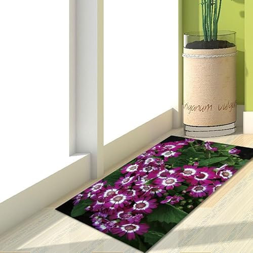 Fußmatte 40x60 cm Lila Grüne Blumen Fussmatte Aussen Fussmatte Innen rutschfeste Schmutzfangmatte Fußmatte Waschbar Fussabtreter für Flur Haustiere Fußmatte Außen