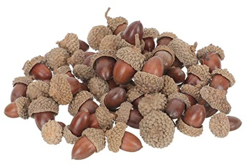 WOONEKY 50Stücke Künstliche Eicheln Tischdekoration Weihnachten Party Mini Acorns Deko für Festliche Anlässe und Arrangements Weihnachten Weihnachtsbaum Thanksgiving Herbst DIY Handwerk Hochzeit
