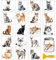 GLOBLELAND 18 Blatt Niedliche Katzen Rub On Sticker Realistische Katzen 3.9x3.6 Zoll Transferaufkleber Rub On Folie Aufkleber Aesthetic Für Möbel Glas Holz Fotoalbum DIY Aufkleberästhetik