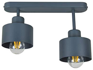 alfalux Lampe Deckenlampe LED 2 Flammig Deckenleuchte Metall E27 Geeignet Industriell Schlafzimmer Küche Wohnzimmer OST3306AN Anthrazit