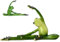 MOUNTTU Yoga -Frosch, Funny & Creative Bein Pressing Frog Figur, 4,5x8x2 Froschstatue, lebendige und lebendige Harzfrösche, Froschdekoration für Tischplatte, Regal, Auto -Armaturenbrett