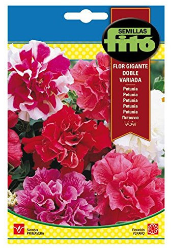 Semillas Fitó 633 - Semillas de Petunia Flor Gigante Doble Variada