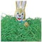500g farbige GRÜNE HOLZWOLLE OSTERGRAS für Osternest/Deko/Basteln