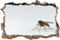 Gougeltd 3D-Effekt Wandtattoo böse kleine Mücke Aufkleber Durchbruch selbstklebendes Wandbild Wandsticker Stein Wanddurchbruch Wandaufkleber Tattoo 80x120cm