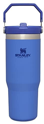 STANLEY IceFlow - Vaso con popote abatible de 30 onzas, iris