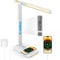 LED Desk Lamp with Wireless Charger - USB Charging Port, Touch Sliding Dimmable Auto Timer Table Lamp with Night Light, Desk Lights with Clock for Study Reading Home Office （White）