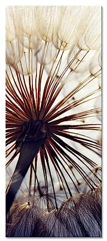 Pixxprint Glasbild Panorama, Wandbild aus Echtglas, Schöne Pusteblume, 100x40 cm, inkl. Aufhängung und Abstandshalter