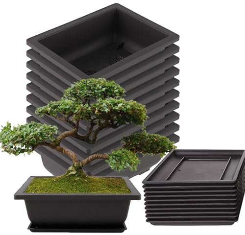 NAMYEUT Lot de 10 Pot pour bonsaï avec Soucoupe - 23 x 17 cm - Pot de Fleur pour bonsaï en Plastique - Pot Bonsai rectangulaire pour Le Salon, Le Bureau, la Cour et Le Jardin