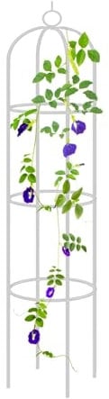 Générique Obélisque de Jardin, Support de Plantes de Grimpantes,190 x 40 cm Tuteur Plante Grimpante pour Plantes grimpantes pour l'intérieur et l'extérieur Support Treillis(White)
