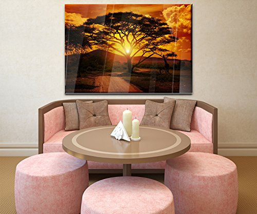 wandmotiv24 Wandbild Afrika Sonnenuntergang Acrylglas - S - 60x42cm (BxH) Wand-Bilder XXL, Dekoration Wohnung modern, Wanddeko groß für Wohnzimmer WB0001