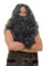WIG ME UP - WIG011-P103PC309 Perücke Bart Vollbart Fasching Karneval Prophet Sadhu Guru Jesus Hipster Wikinger Barbar schwarz