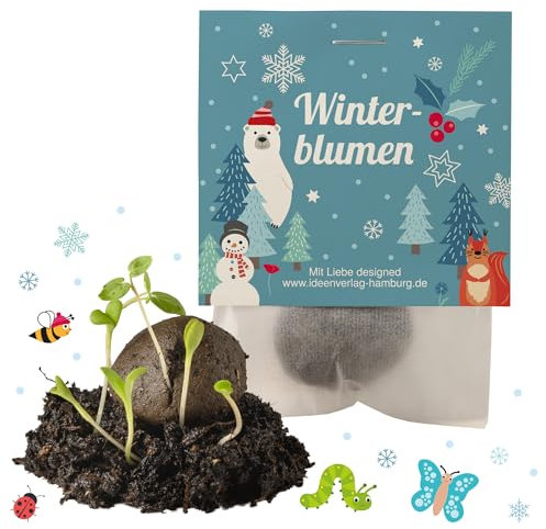 Ideenverlag HAMBURG 10x Winterblumen Winter Samenbomben Kindergeburtstag/Treiben aus bei Kälte! / Wintergeburtstag Geschenke Mitgebsel Kindergeburtstag Kleinigkeit