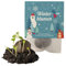 Ideenverlag HAMBURG 10x Winterblumen Winter Samenbomben Kindergeburtstag/Treiben aus bei Kälte! / Wintergeburtstag Geschenke Mitgebsel Kindergeburtstag Kleinigkeit