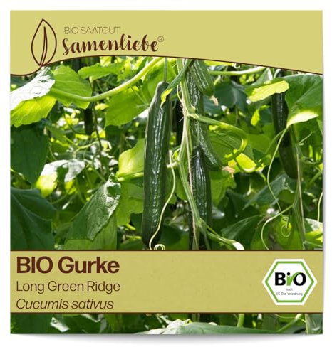 Samenliebe BIO Gurken Samen Long Green Ridge Salatgurke lange Gurke grün 10 Samen samenfestes Gemüse Saatgut für Gewächshaus Freiland und Balkon BIO Gemüsesamen