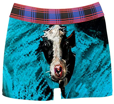 Caleçon respirant avec peinture à l'huile pour homme, multicolore, Medium-Large