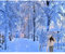 Caaerttply Winter Wonderland Wald Hintergrund für Fotografie, Winterwald, Schneeflocke, Foto-Hintergründe, 3 x 2,4 m, Eis, Schnee, Hintergrund, Weihnachten, Neujahr, Party, Kinder, Neugeborene,