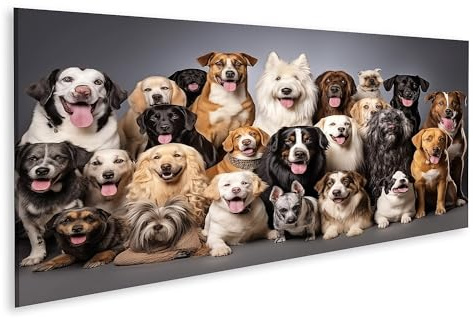 islandburner Prime Bild auf Leinwand große Gruppe Hunde verschiedene Rassen Haustiere sitzen weiß Bilder Wandbilder Poster