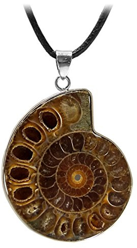 Kaltner Präsente Edelstein Halskette mit Anhänger/Ammonit Anhänger als echte Versteinerung/Lederband mit Anhänger/Hochwertiger Edelsteinanhänger mit Lederkette/Ammonit Ø 30 mm