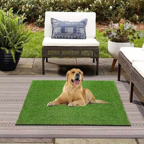 GLOBREEN Tapis de porte en gazon artificiel de 78,7 x 99,1 cm pour chiens avec drainage, intérieur et extérieur, tapis en gazon synthétique pour terrasse, balcon, terrasse, jardin, pelouse,