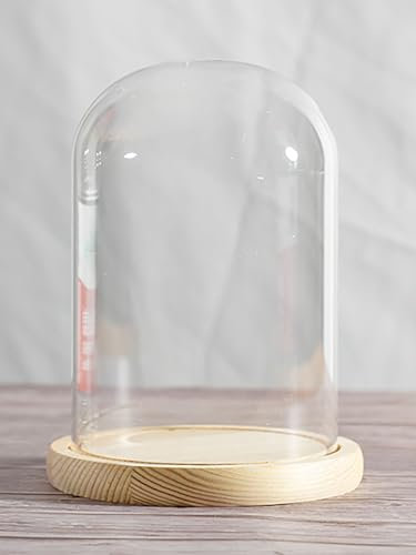 COYOUCO Dia10cm Glass Cloche Dome Display with Solid Wood Base for Displaying Plants, Ornaments, Figurines, Height22/25/30cm,Dia10*H30cm