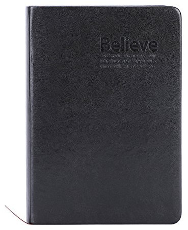 Notizbuch A6 Kunstleder Tagebuch Bibel Schreibuch Planer Blanko Notizblock Hardcover Reisetagebuch 480 Seiten Lederbuch Notiz Schreibheft Zeichnen Skizzenbuch für Künstler Damen Herren