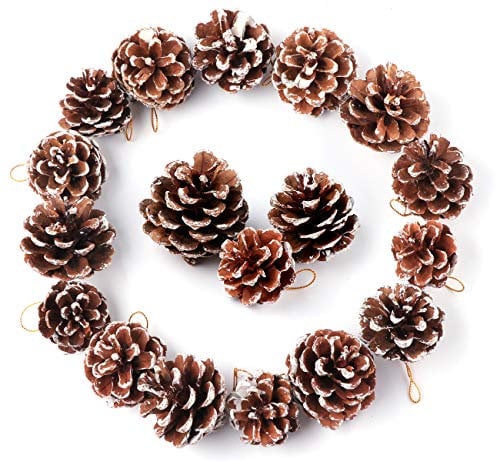 Anstore 30 Pine Cones 4 to 6 cm Snow Christmas Pine Cones Ornament Natural Pine Cones With String Pendant Crafts for Gift Tag Wreaths Garlands Xmas Tree Party Hanging Decoration
