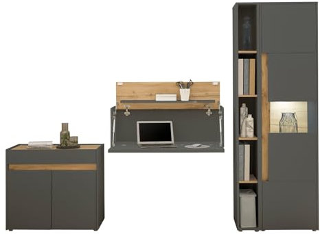 Furn.Design Büromöbel komplett Set in grau matt und Eiche Wotan Holz mit Aktenschrank, Sekretär und Vitrine modern für Homeoffice und Büro Center (Set 2)