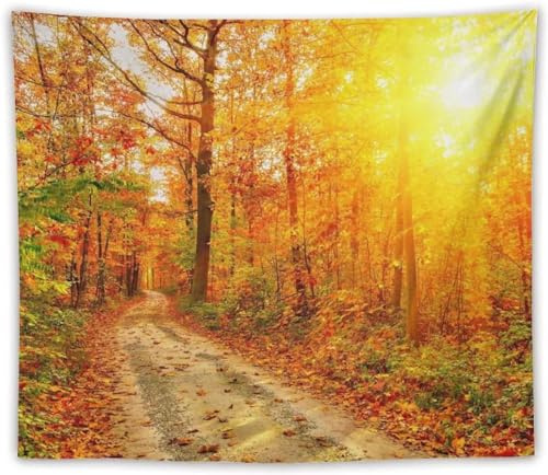 Sxakswol Wandteppich Groß Herbst Wandteppich 200x150 Wandbehang Waldlandschaft, Tapisserie 3D Wandtuch Aesthetic Wandteppiche für Wohnzimmer Schlafzimmer Wohnheim Wanddeko B253