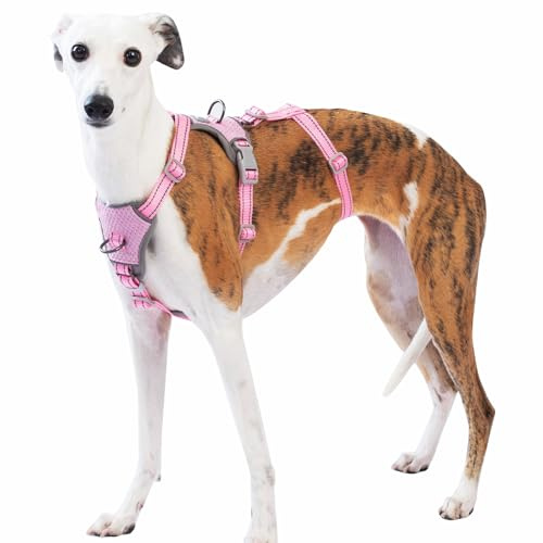 Huntboo Sicherheitsgeschirr Hund Ausbruchsicher, Panikgeschirr für Hunde, Anti Zug Hundegeschirr, Reflektierend, Verstellbare, Leichte Weste für kleine, mittelgroße und große Haustiere (Rosa,XL)