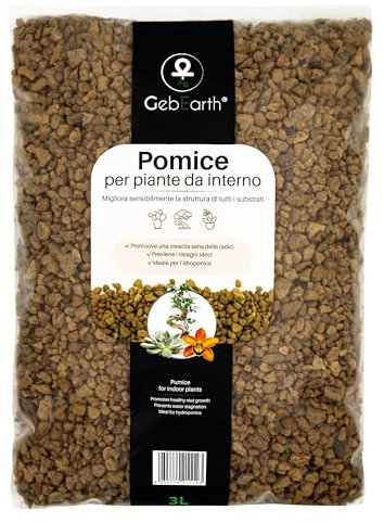 GebEarth® Piedra pómez para plantas finas de 3/6 mm | Mejora la salud radical de bonsáis y plantas suculentas | Ligera y de alto poder drenante | Libre de cal activo y pH neutro [3L]