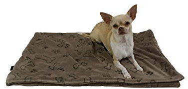 Made in German Hundedecke, Pfote Champagner, 45 x 65cm für kleine & große Hunde I Flauschige Hunde Sommerdecke, waschbar, trocknergeeignet