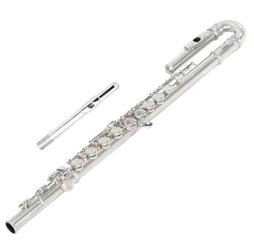Classic Flûte Traversière Flûte À Bec Courbée En Plaqué Argent Pour Débutants À Double Tête
