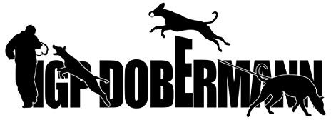 siviwonder Auto Aufkleber IGP ST Schrift Dobermann UNKUPIERT Dobi Autoaufkleber K9 Hundeanhänger ehemals IPO Hundesport Hundemotiv schwarz